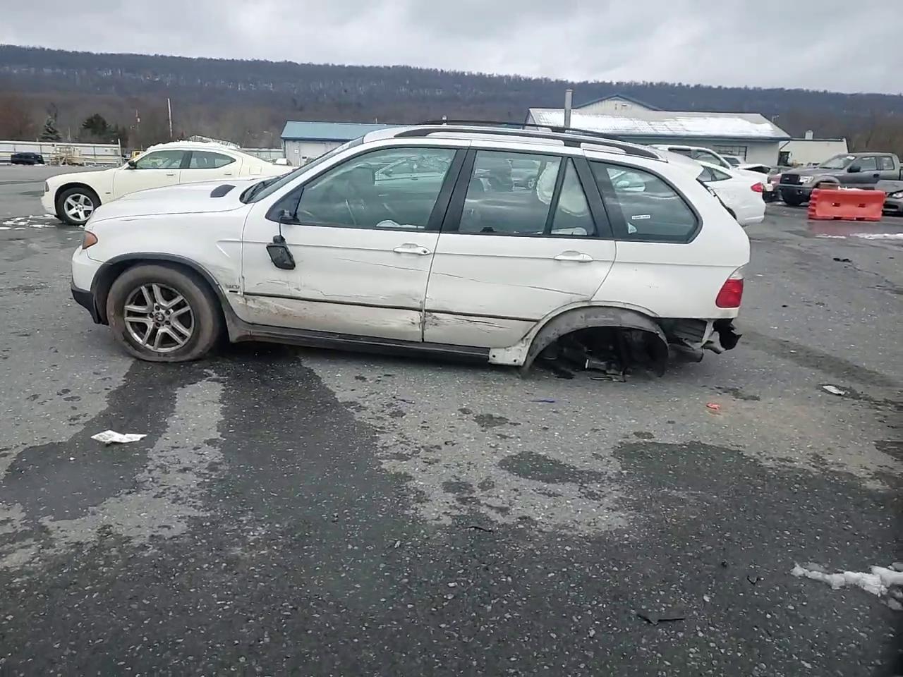 Фото: 5UXFA13515LY10150