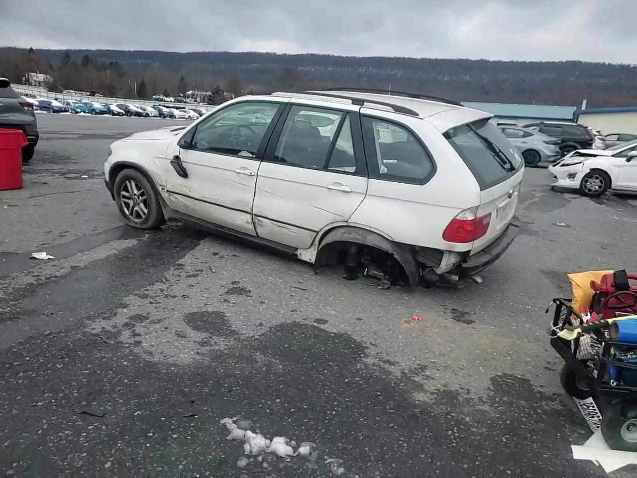 Фото: 5UXFA13515LY10150