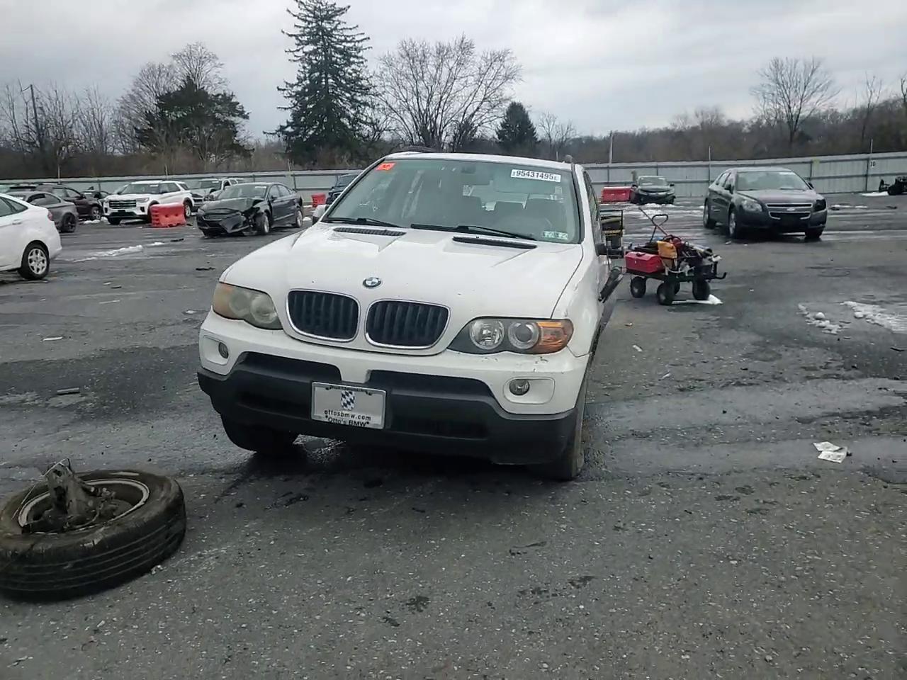 Фото: 5UXFA13515LY10150