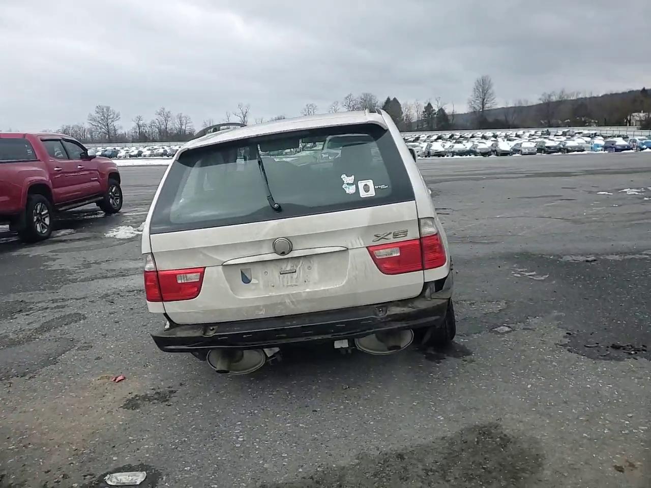 Фото: 5UXFA13515LY10150