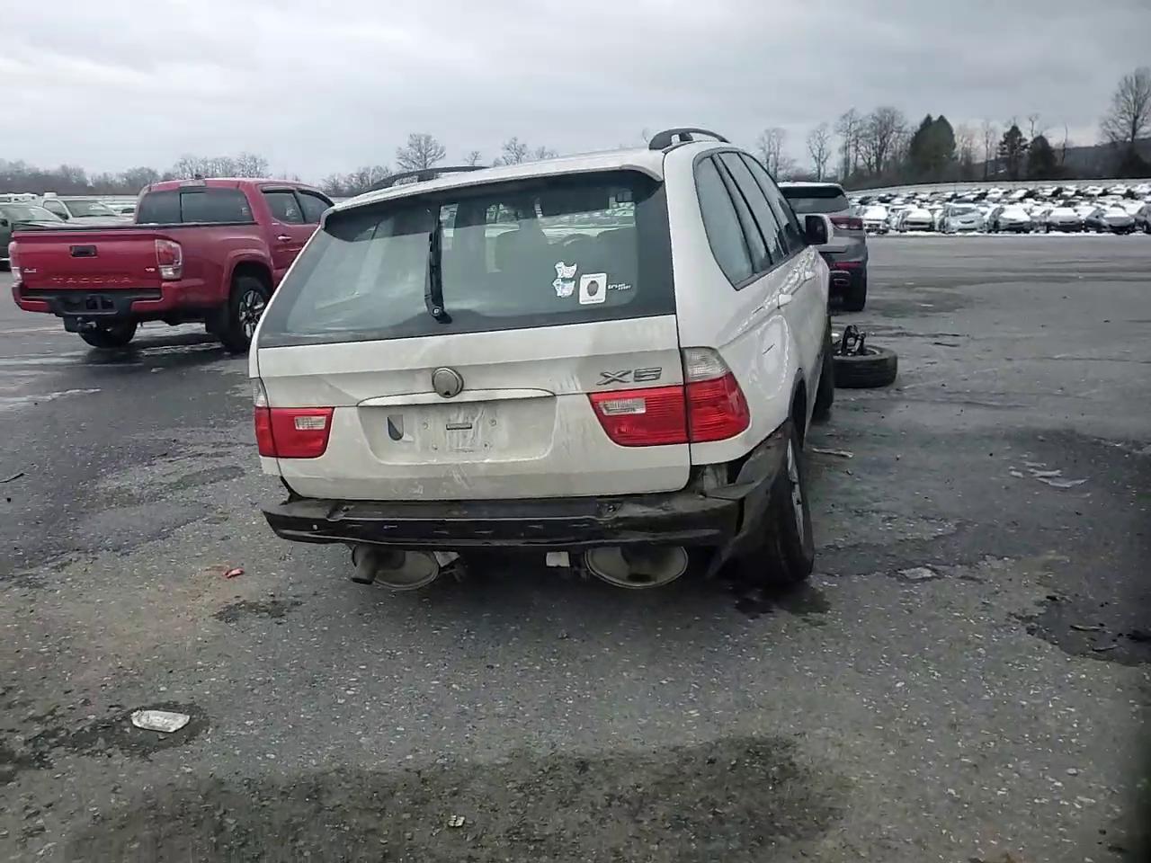 Фото: 5UXFA13515LY10150