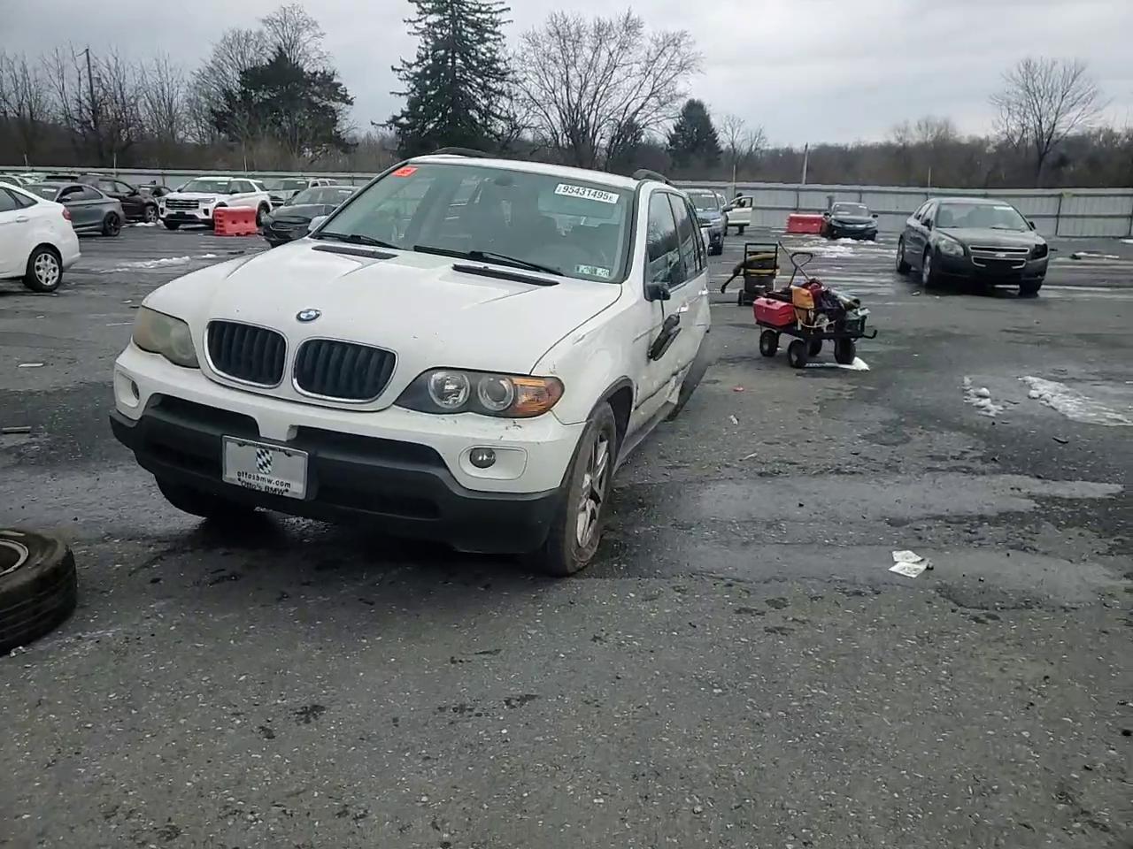 Фото: 5UXFA13515LY10150