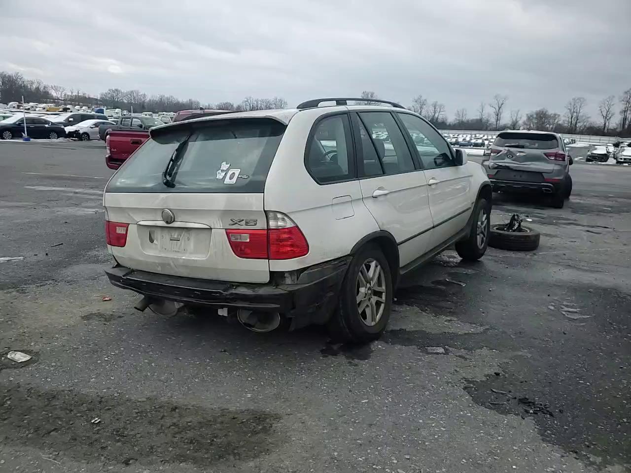 Фото: 5UXFA13515LY10150