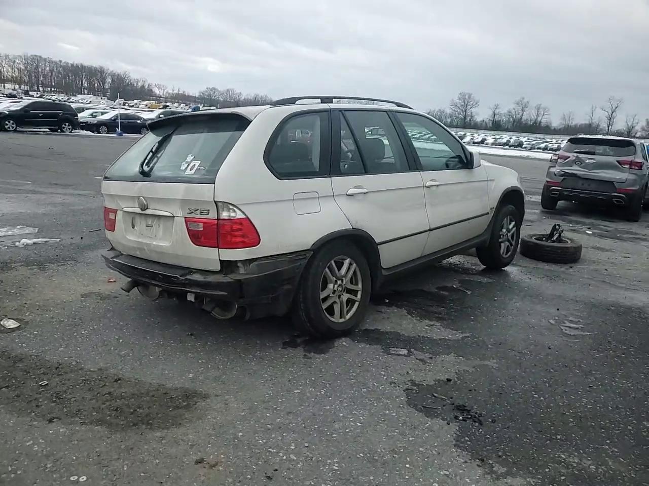 Фото: 5UXFA13515LY10150