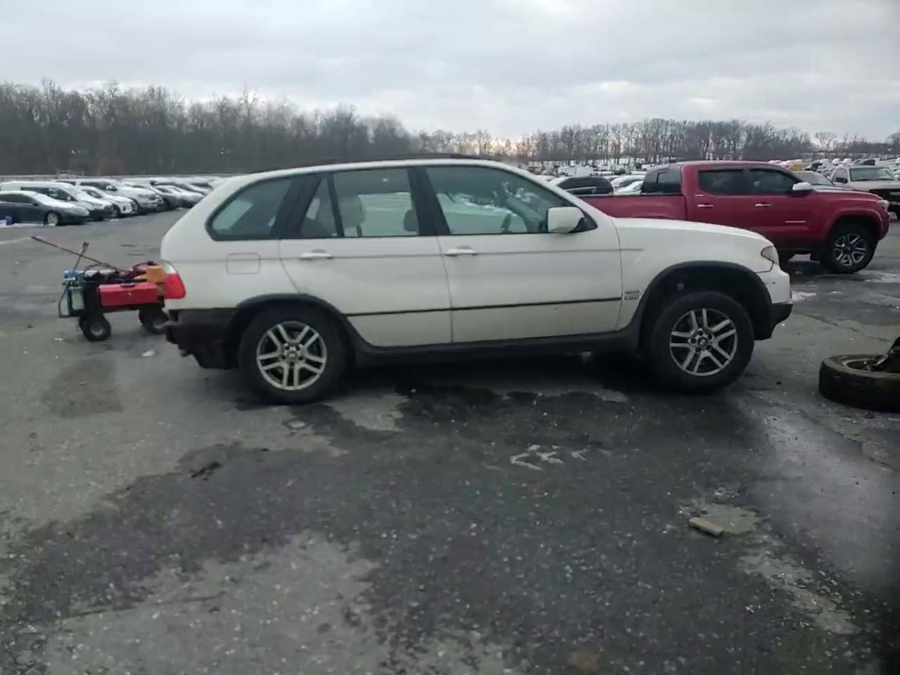 Фото: 5UXFA13515LY10150