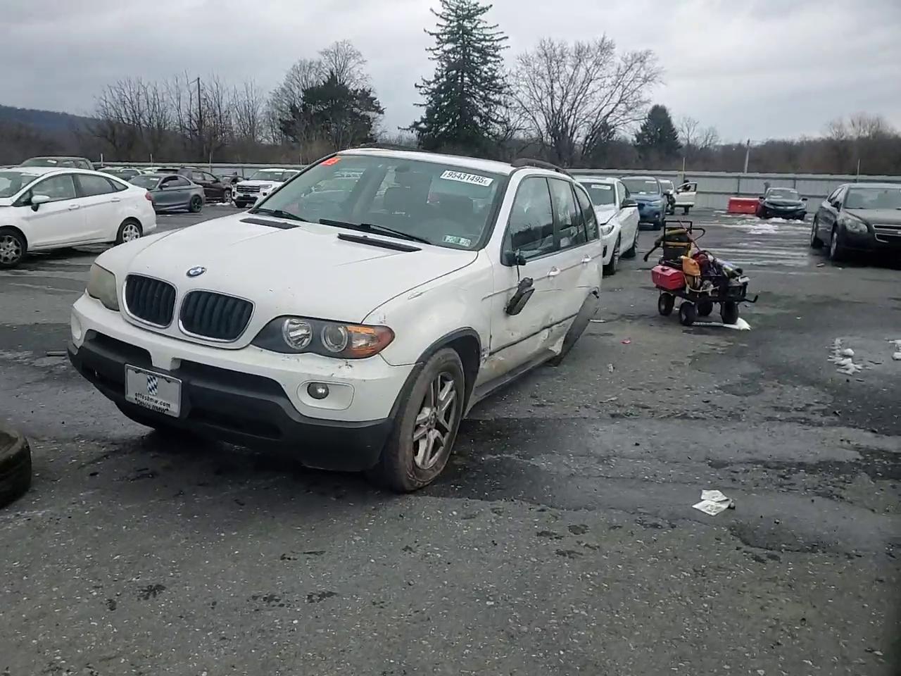 Фото: 5UXFA13515LY10150