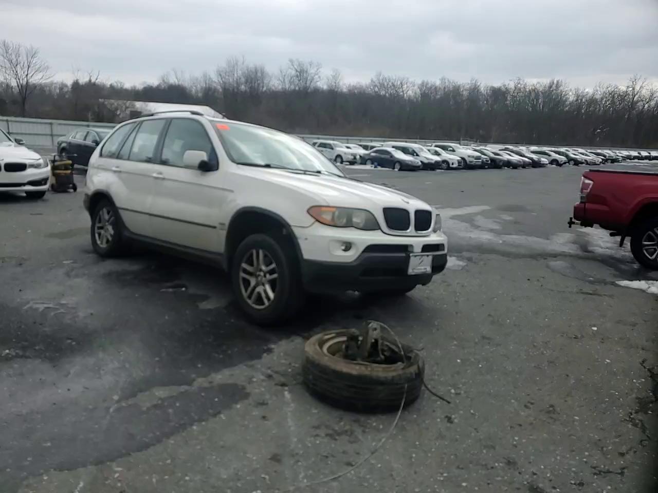 Фото: 5UXFA13515LY10150