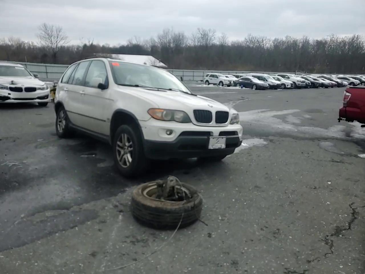 Фото: 5UXFA13515LY10150