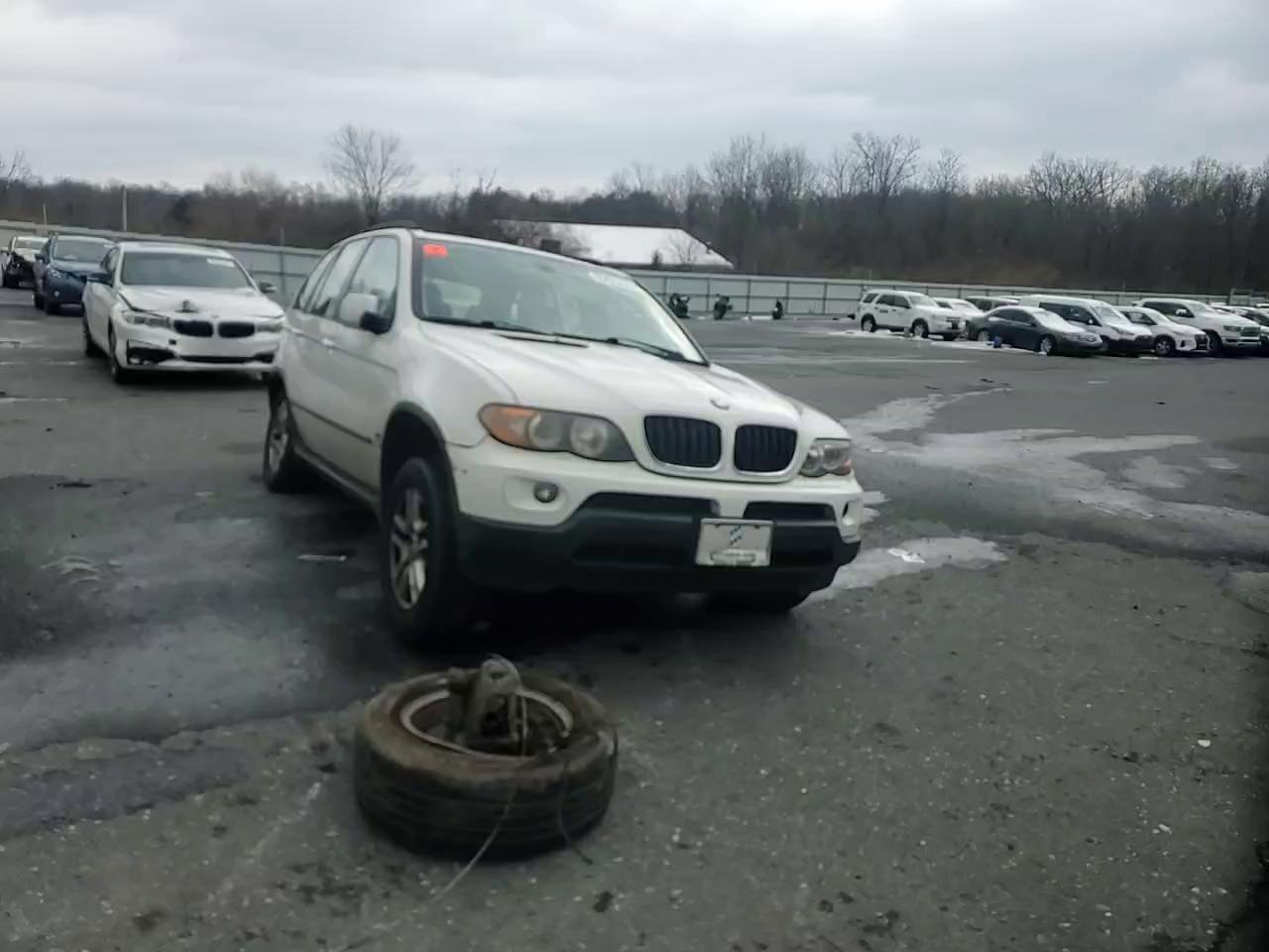 Фото: 5UXFA13515LY10150