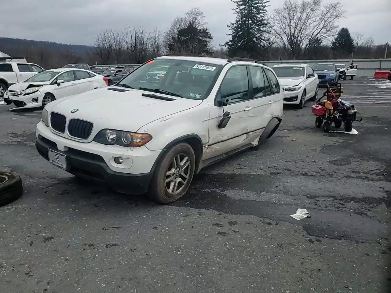 Фото: 5UXFA13515LY10150