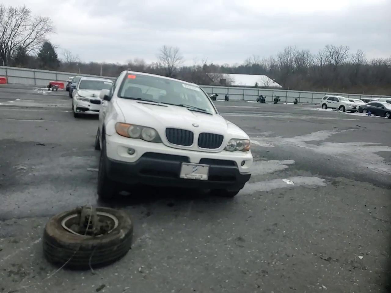 Фото: 5UXFA13515LY10150