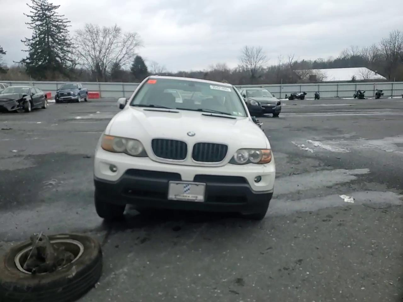 Фото: 5UXFA13515LY10150