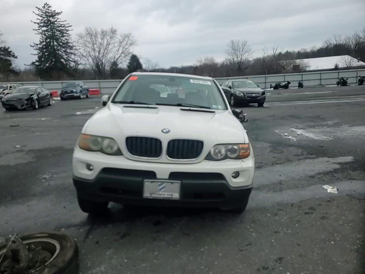 Фото: 5UXFA13515LY10150