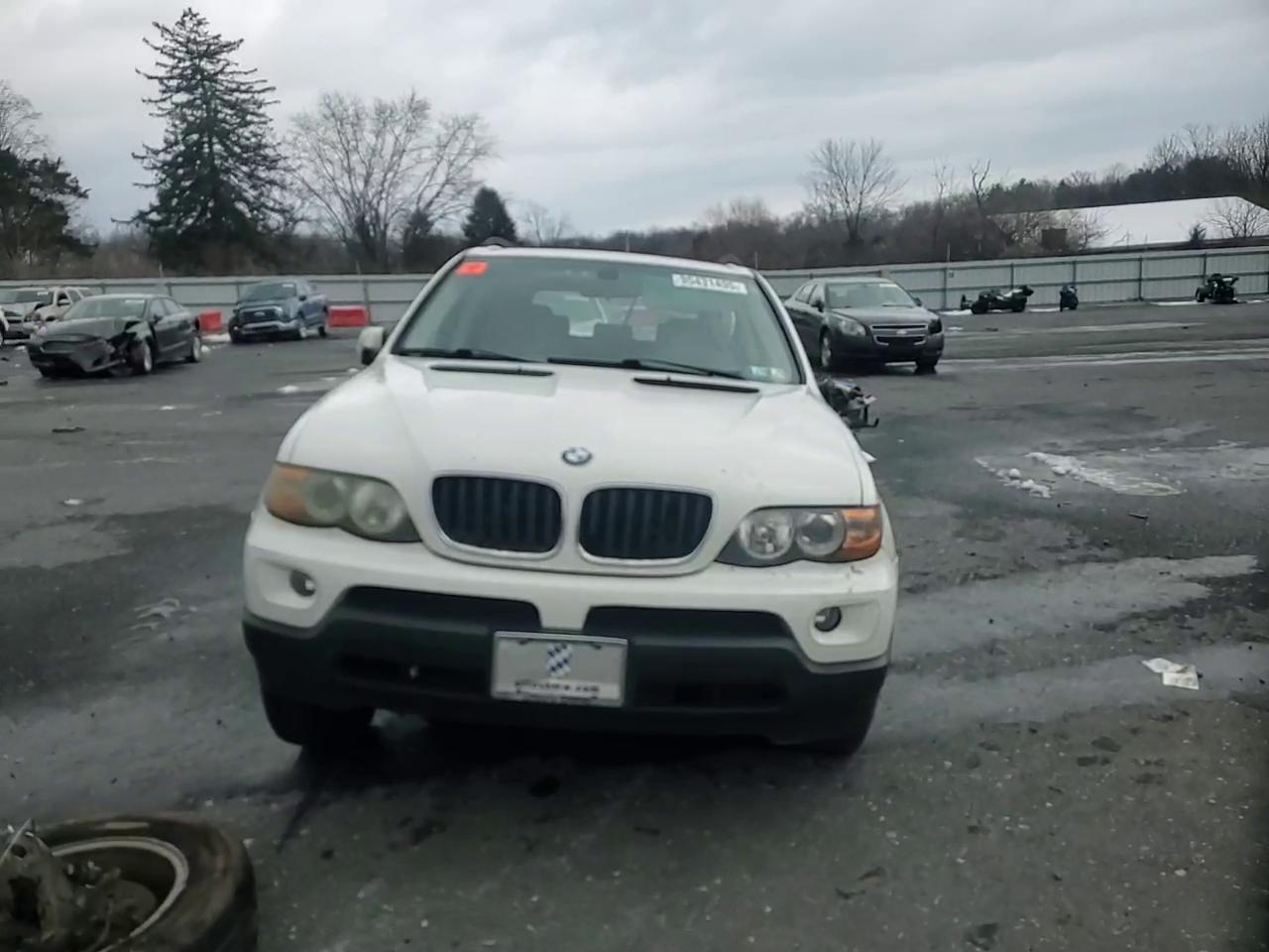 Фото: 5UXFA13515LY10150