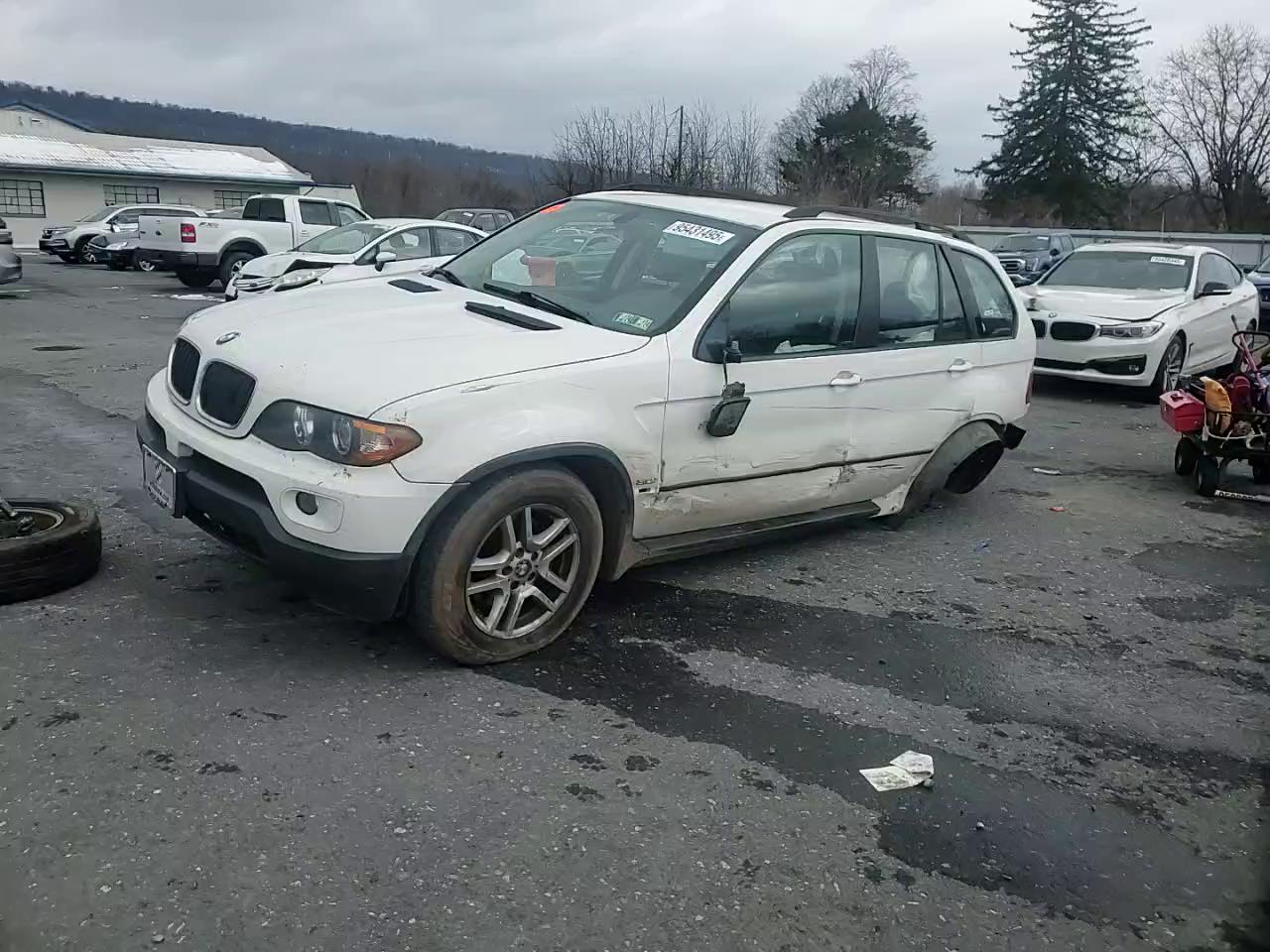 Фото: 5UXFA13515LY10150