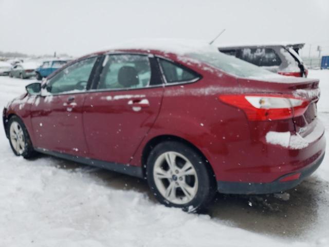 1FADP3F20EL175903 Ford FOCUS SE