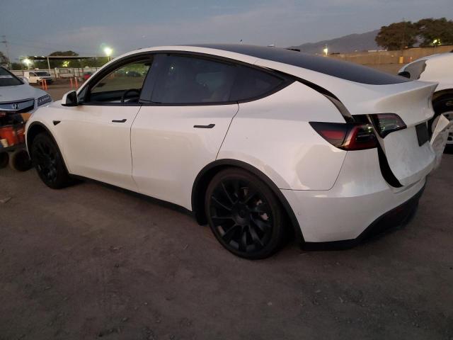 5YJYGAEE5MF234831 Tesla Model Y