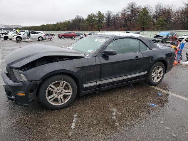Auction sale of the 2014 Ford Mustang, vin: 1ZVBP8EM5E5236374, lot number: 38254644