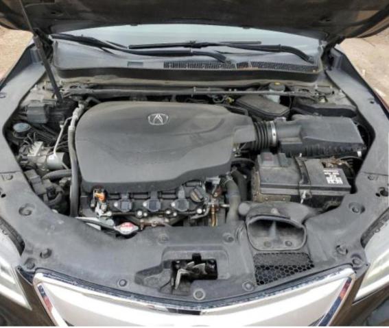 19UUB2F33FA019753 Acura TLX