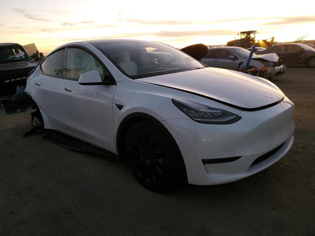 5YJYGAEE5MF234831 Tesla Model Y