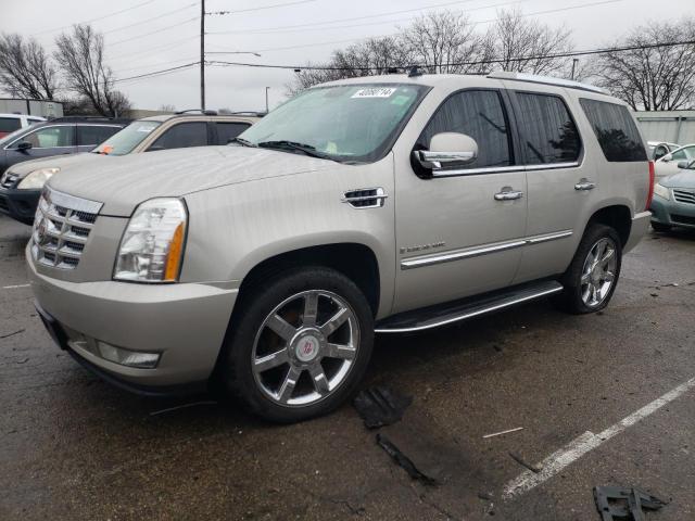 Auction sale of the 2009 Cadillac Escalade Luxury, vin: 1GYFK23259R220623, lot number: 40080714