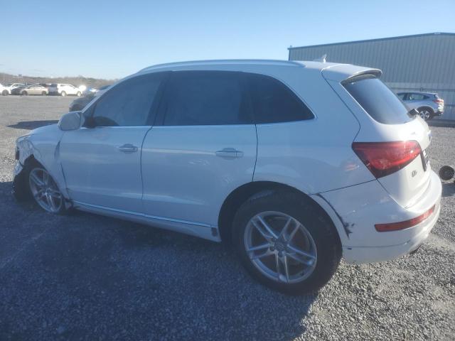 WA1L2AFP6GA097589 Audi Q5 Premium Plus