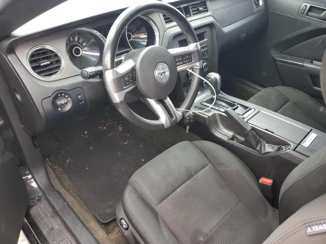1ZVBP8AM3E5226206 Ford Mustang