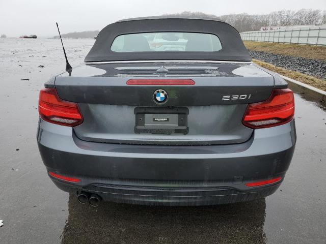 WBA2M7C06L7F23164 BMW 230I