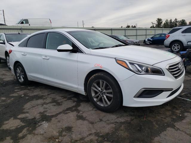 5NPE24AFXHH450246 Hyundai SONATA SE