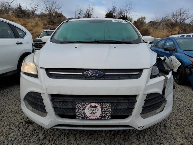 1FMCU9GXXGUC83904 Ford ESCAPE SE