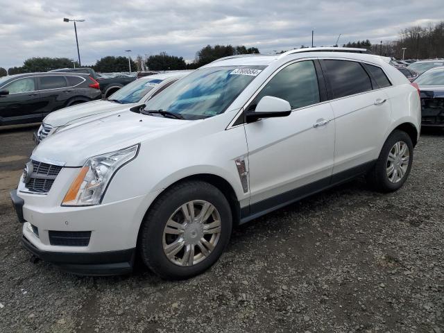 Auction sale of the 2011 Cadillac Srx Luxury Collection, vin: 3GYFNDEY0BS624243, lot number: 37689554
