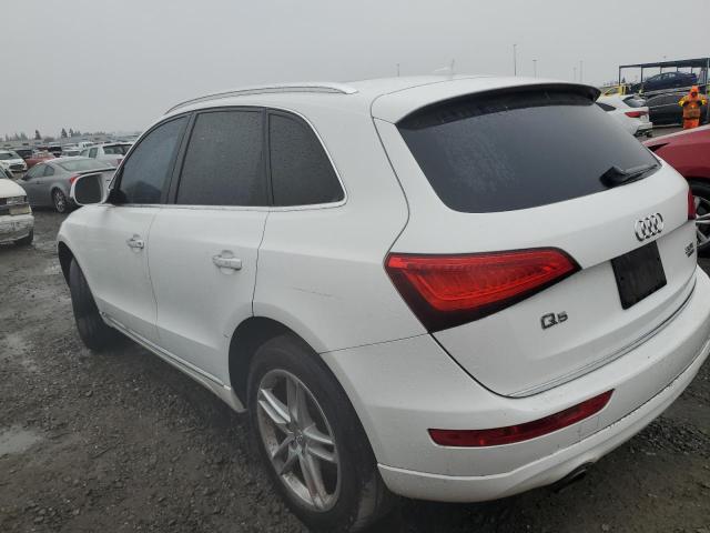 WA1C2AFP6GA100300 Audi flex fuel - e85