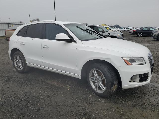 WA1C2AFP6GA100300 Audi flex fuel - e85