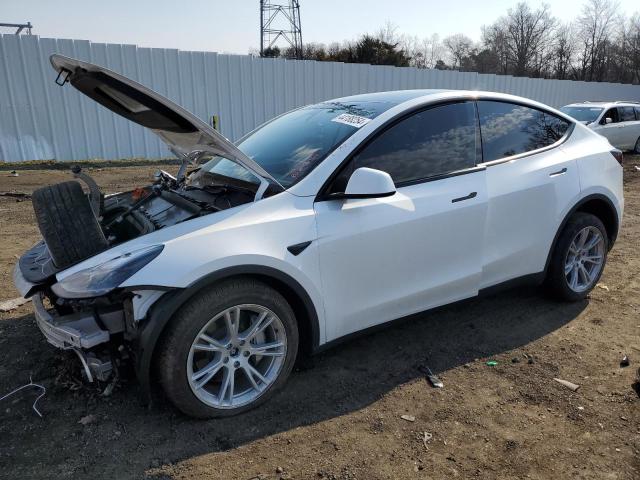 Auction sale of the 2023 Tesla Model Y, vin: 7SAYGDEEXPF837203, lot number: 44188254