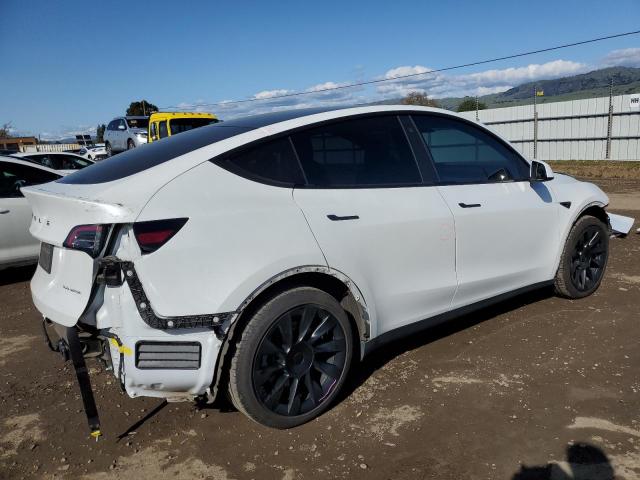 5YJYGDEE4MF212904 Tesla Model Y