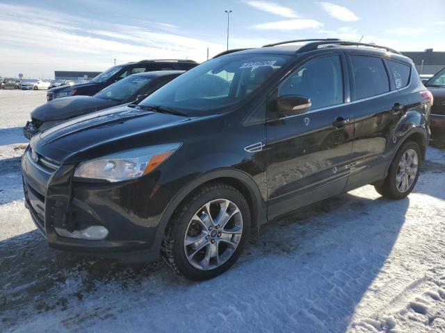 Auction sale of the 2013 Ford Escape Sel, vin: 00000000000000000, lot number: 41310524