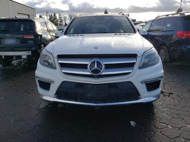 4JGDF7DE5FA446769 Mercedes-Benz Gl 550 4matic