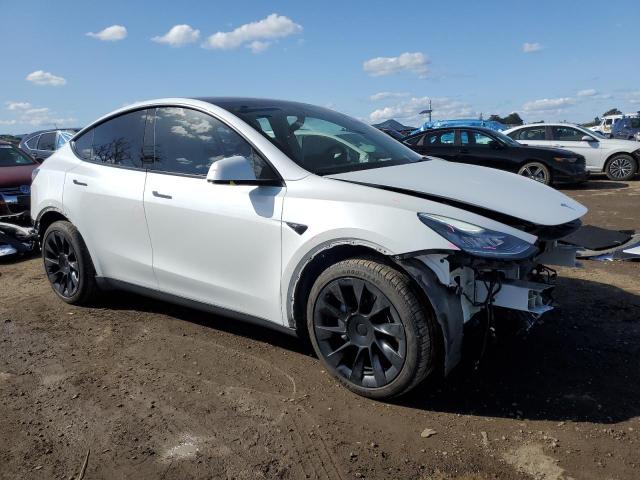 5YJYGDEE4MF212904 Tesla Model Y