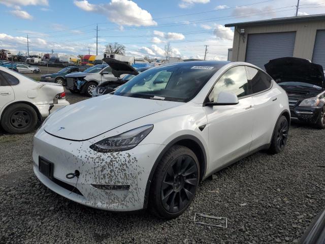 Aukcja sprzedaży 2021 Tesla Model Y, vin: 5YJYGDEE0MF084483, numer aukcji: 40443144