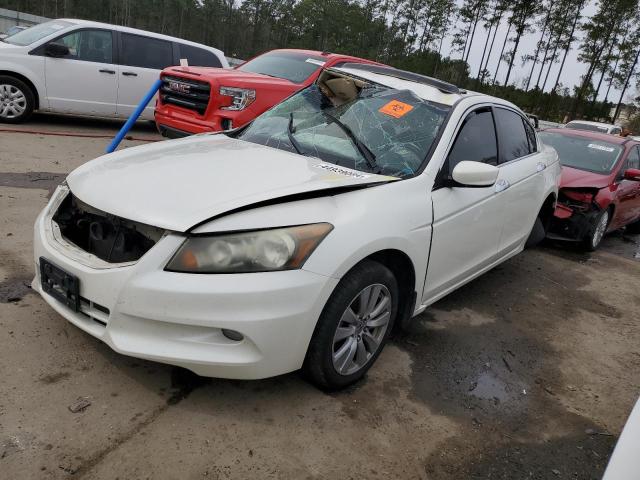 Auction sale of the 2011 Honda Accord Exl, vin: 1HGCP3F88BA005100, lot number: 44939084