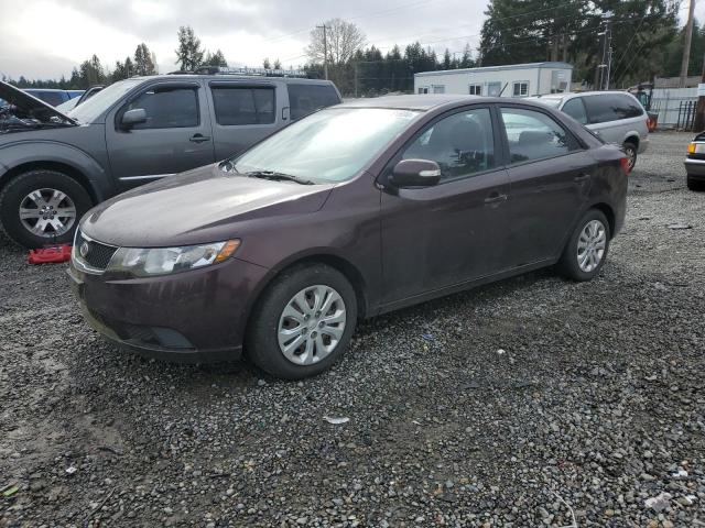 Auction sale of the 2010 Kia Forte Ex, vin: KNAFU4A26A5163095, lot number: 45161694