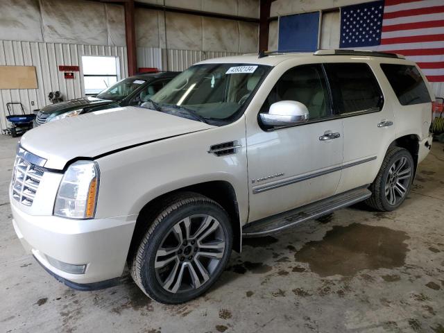 Auction sale of the 2008 Cadillac Escalade Luxury, vin: 1GYFK63888R135320, lot number: 43932134