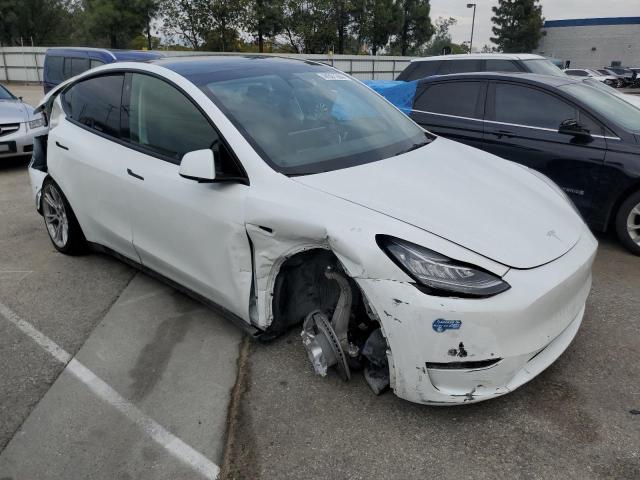 5YJYGDEE1MF204176 Tesla Model Y