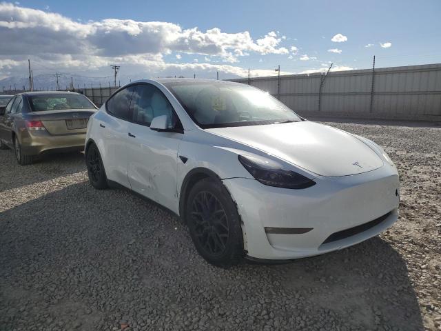 7SAYGDEF9PF590376 Tesla 2023