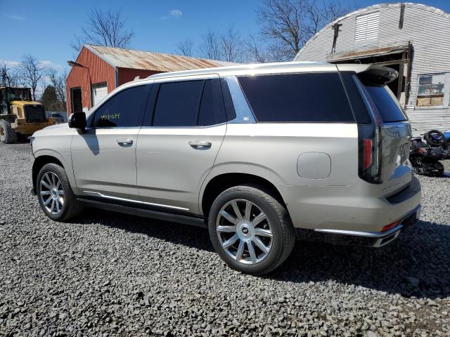 1GYS4DKL6MR242198 Cadillac Escalade Premium Luxury Platinum