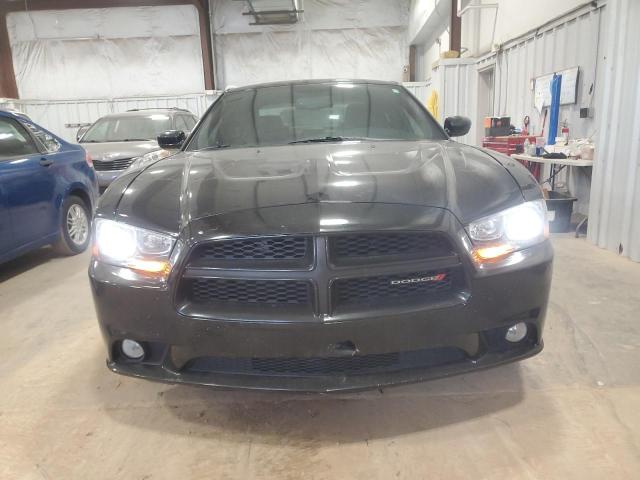 2C3CDXDT4EH296632 Dodge CHARGER R/T