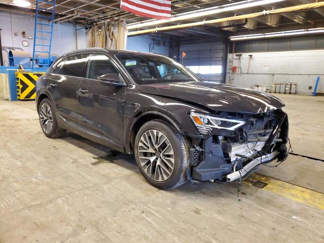 WA15AAGE6RB016550 Audi Q8 E-tron Premium Plus