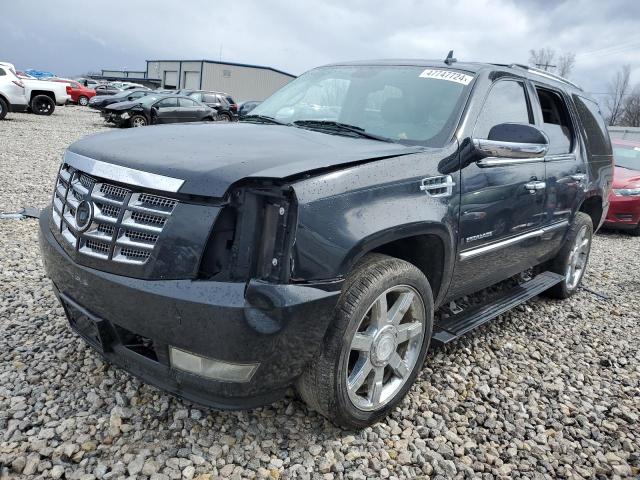 Auction sale of the 2009 Cadillac Escalade Luxury, vin: 1GYFK23289R173281, lot number: 47747724