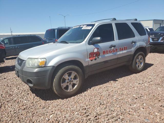 Auction sale of the 2005 Ford Escape Xlt, vin: 1FMYU93125KD17754, lot number: 48685614
