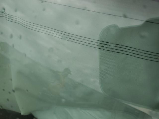 5YJ3E1EB0KF208995 Tesla MODEL 3